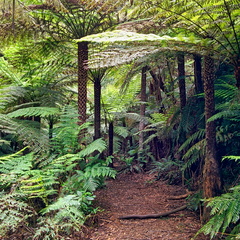 unbenannte Fotosession 20131222 1090